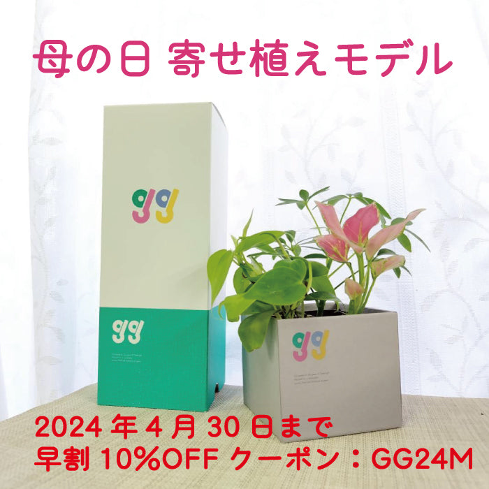 GG母の日 早割10％OFF！！